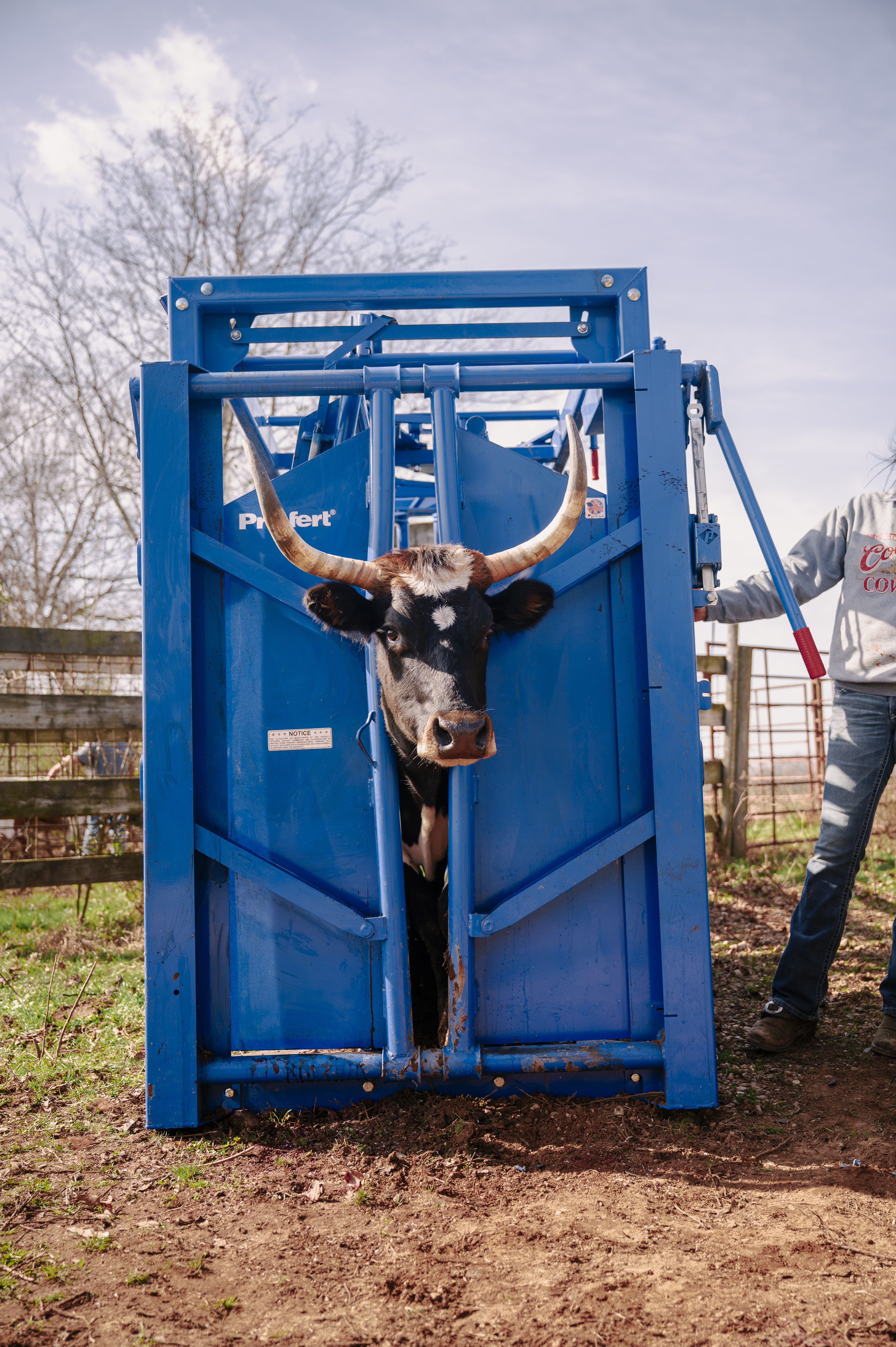 SqueezeChute SC25 0326 Sheriff 1062.jpg